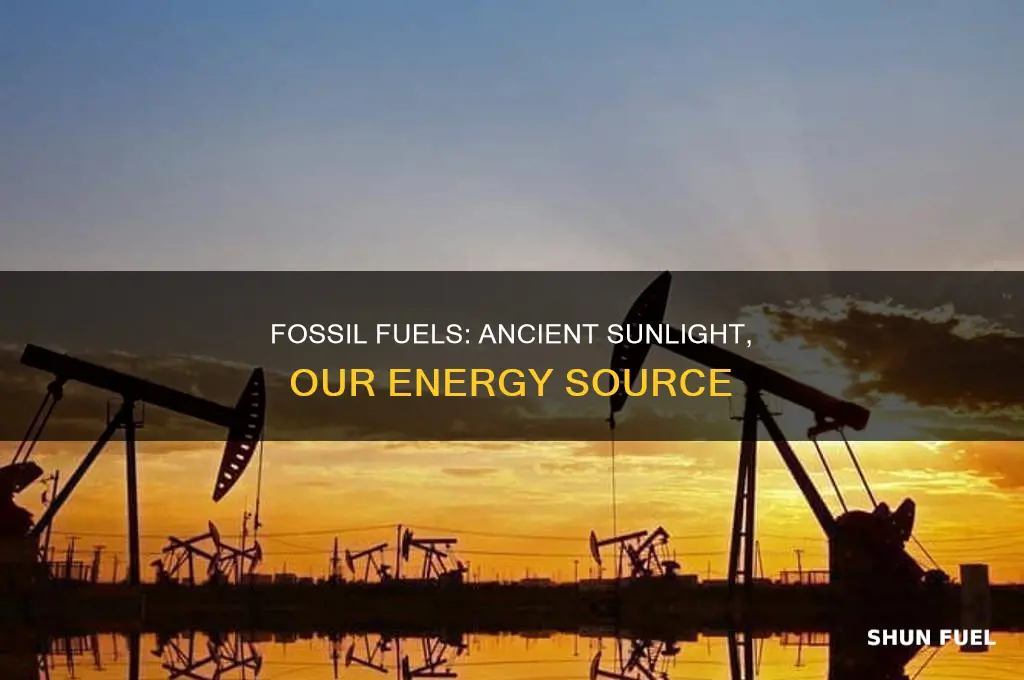 what are fossil fuels and how are they formed meritnation