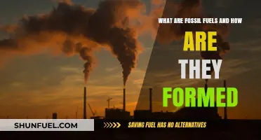 Fossil Fuels: Formation and Fundamentals