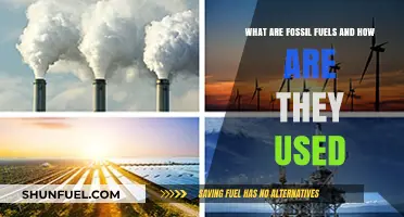 Fossil Fuels: Energy Sources and Their Uses