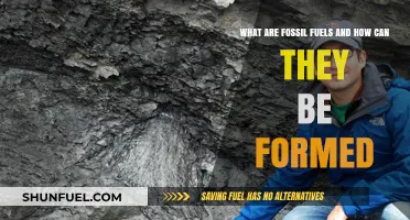 Fossil Fuels: Formation and Their Ancient Origins