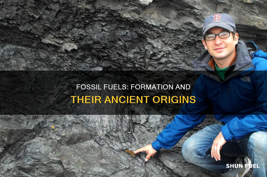 what are fossil fuels and how can they be formed