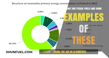 Fossil Fuels: Energy Sources From the Past
