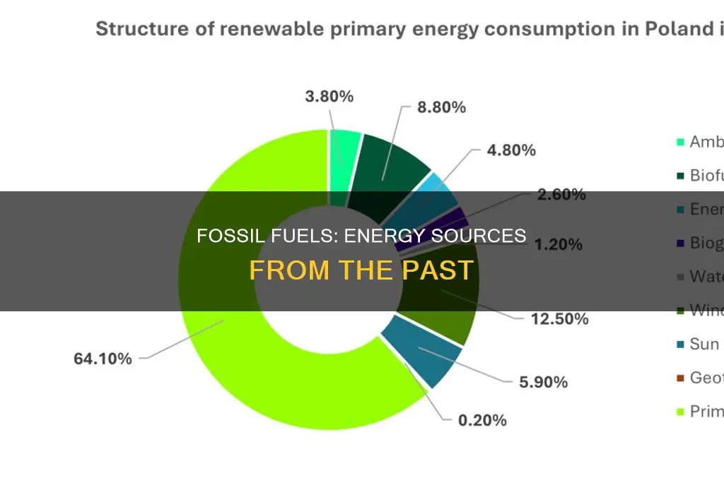 what are fossil fuels and some examples of these