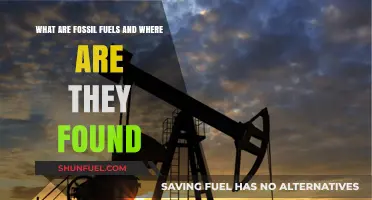 Fossil Fuels: Their Sources and Impact