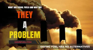 Fossil Fuels: Energy's Dark Side Explained