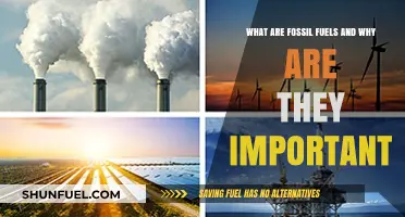 Fossil Fuels: Energy Sources and Their Importance