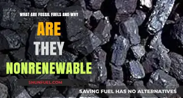 Fossil Fuels: Nonrenewable Energy Sources Explained