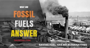 Fossil Fuels: Past, Present, and Future