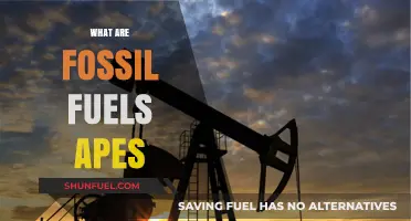 Fossil Fuels: Past, Present, and Future