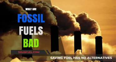 Fossil Fuels: Damaging Our Planet, Hurting Our Future