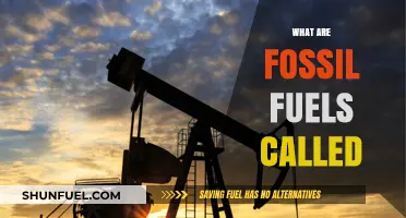 Fossil Fuels: What's in a Name?