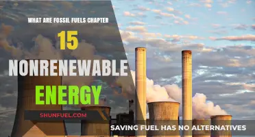 Fossil Fuels: Exploring Nonrenewable Energy Sources