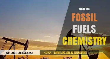 Fossil Fuels: Chemistry of Ancient Sunlight