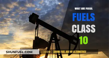 Fossil Fuels: Past, Present, and Future