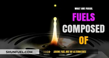 Fossil Fuels: What Are They Made Of?