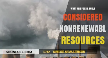 Fossil Fuels: Finite, Non-Renewable Energy Sources