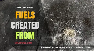 How Fossil Fuels Were Created