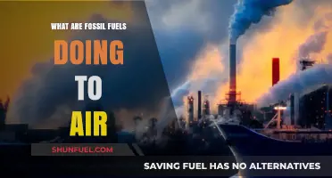 Fossil Fuels: Poisoning Our Air