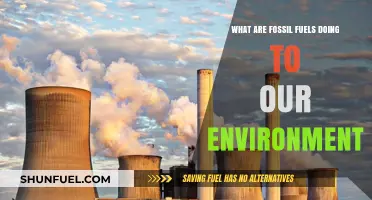 Fossil Fuels: Damaging Our Environment and Our Future