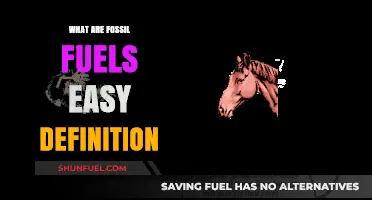 Fossil Fuels: Ancient Energy Sources Explained