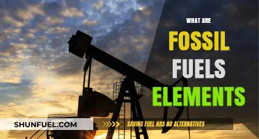 Fossil Fuels: Elements of the Past