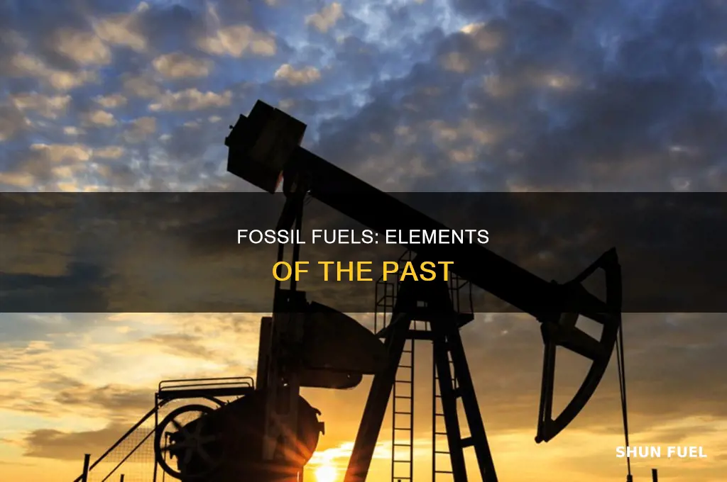 what are fossil fuels elements