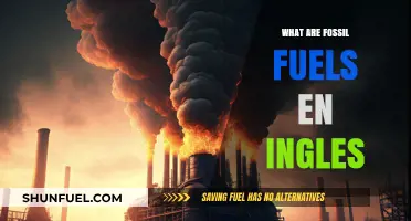 The Dark Side of Fossil Fuels