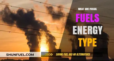 Fossil Fuels: Energy Type and Its Sources