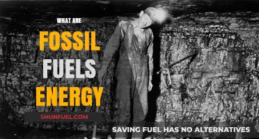 Fossil Fuels: Energy's Dark History