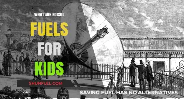 How Fossil Fuels Work: Energy from Ancient Sunlight