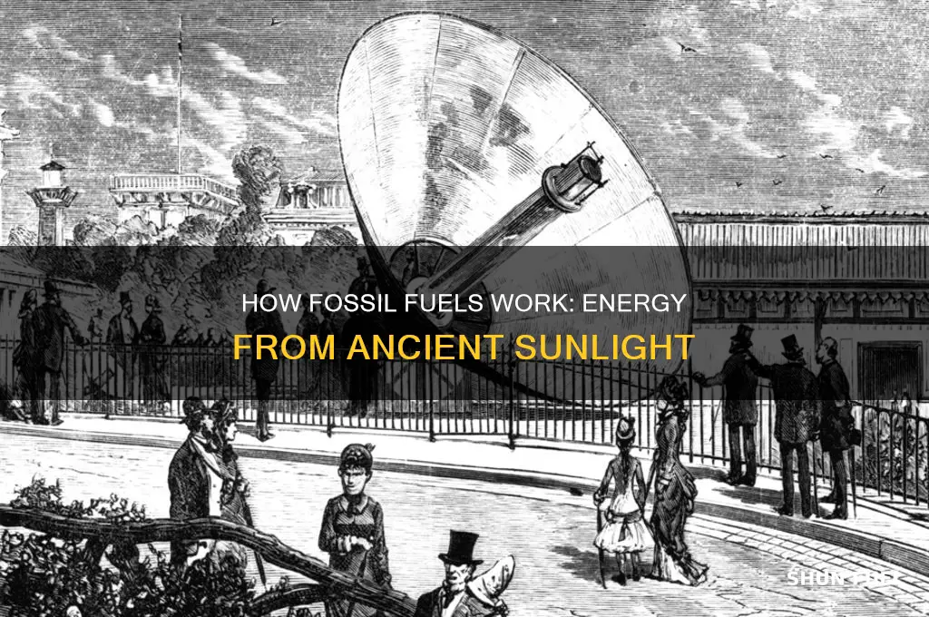 what are fossil fuels for kids