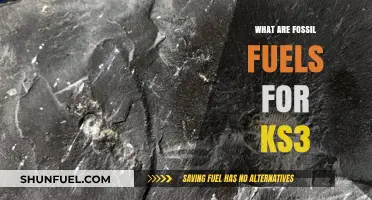 How Fossil Fuels Work: Energy's Dark Past