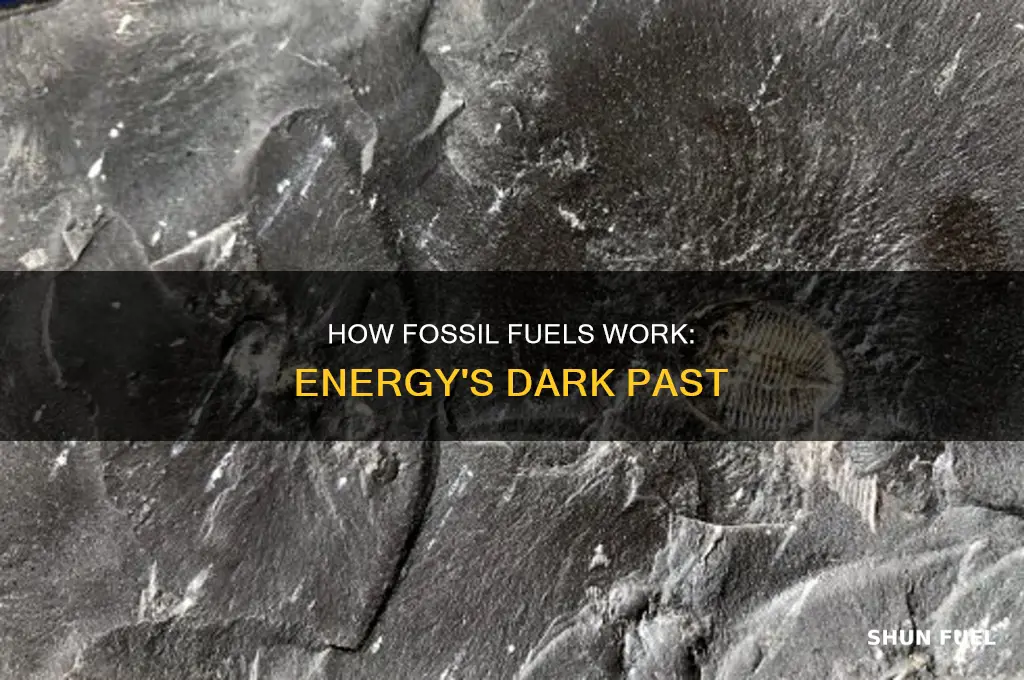 what are fossil fuels for ks3