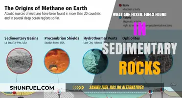 Sedimentary Rock Fossil Fuels: A Hidden Energy Source