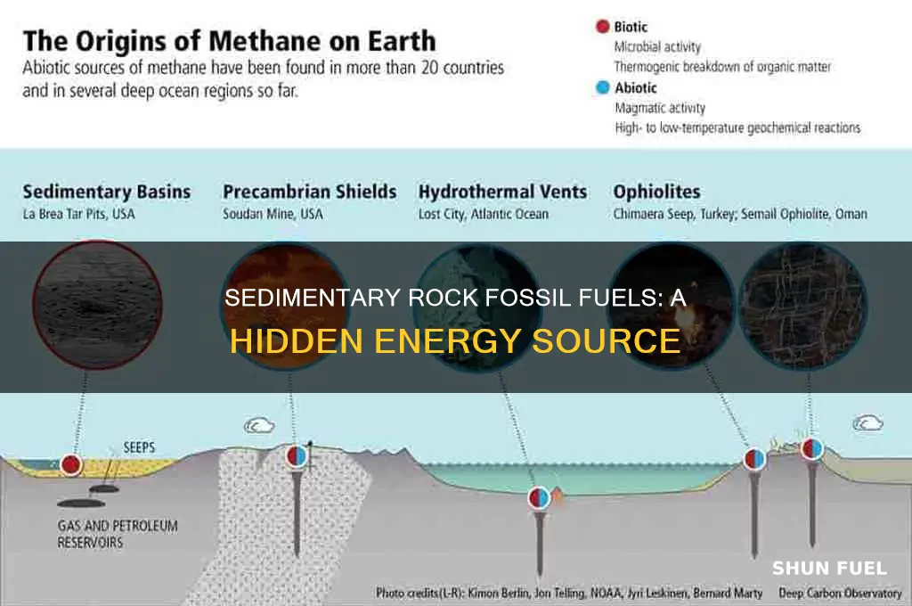 what are fossil fuels found in sedimentary rocks