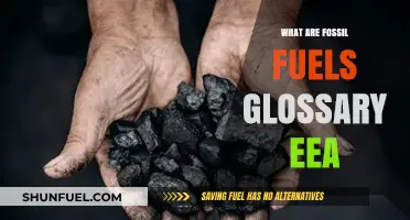 Fossil Fuels Glossary: EEA's Comprehensive Guide