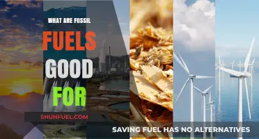 Fossil Fuels: Powering Our World, But For How Long?