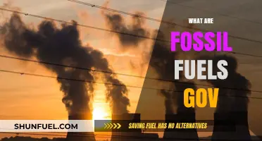 Fossil Fuels: Past, Present, and Future Energy Sources