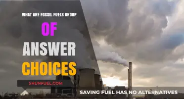 Fossil Fuels: What Are They?