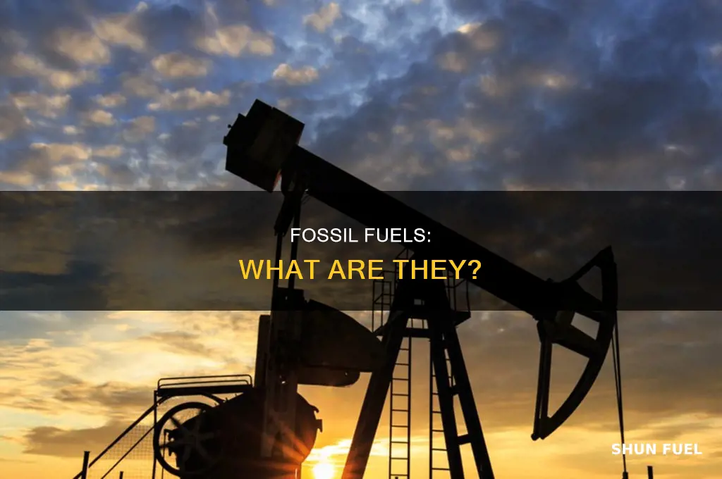what are fossil fuels group of answer choices