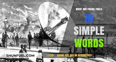 Fossil Fuels: Ancient Sunlight Powers Our World