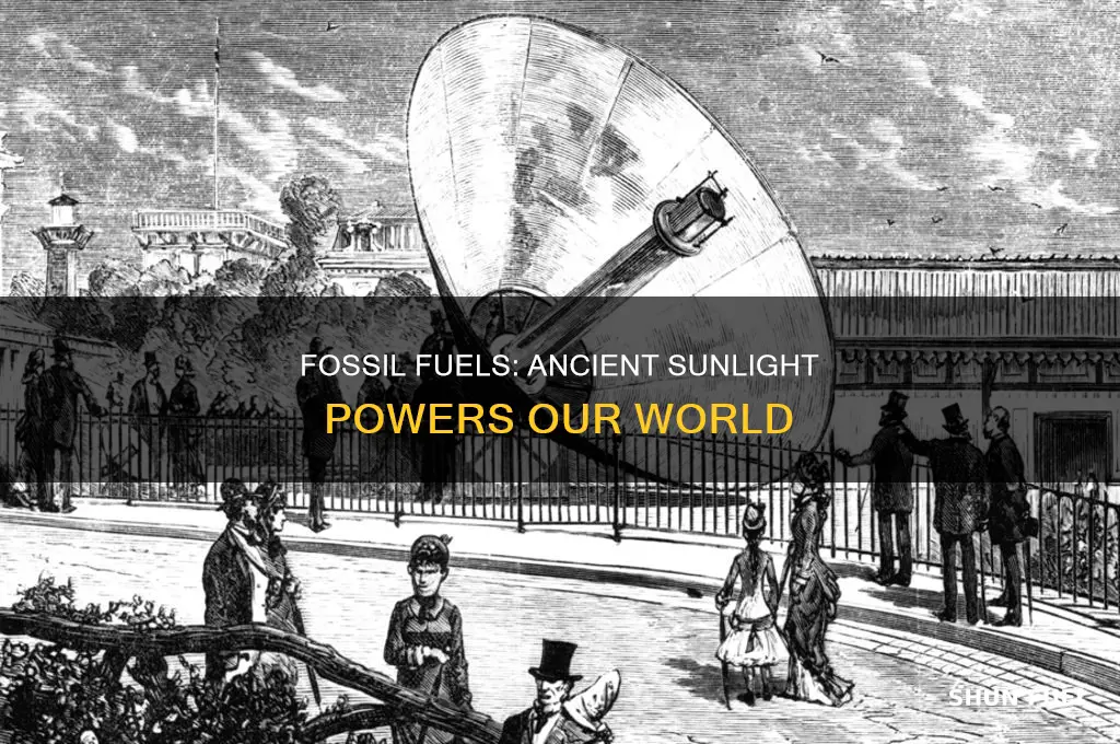 what are fossil fuels in simple words