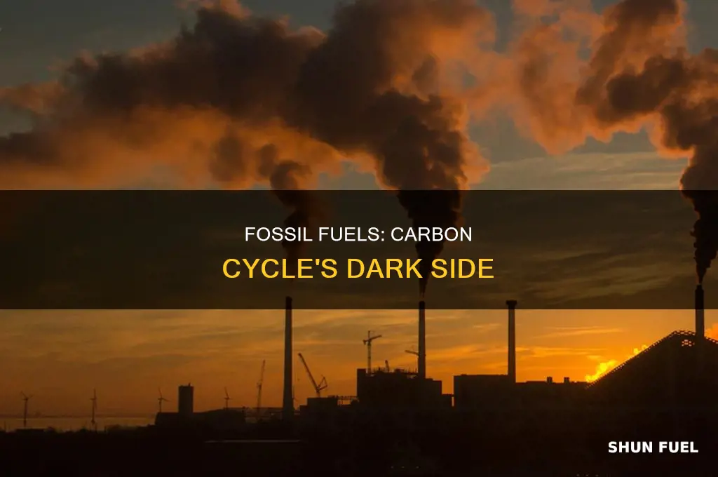 what are fossil fuels in the carbon cycle