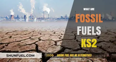 How Fossil Fuels Impact Our World