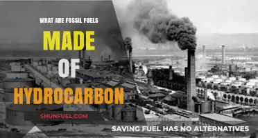 Fossil Fuels: Hydrocarbons' Dark History