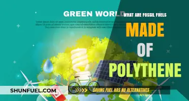 Fossil Fuels and Polythene: What's the Connection?