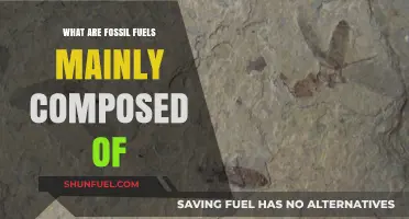 Fossil Fuels: What Are They Made Of?