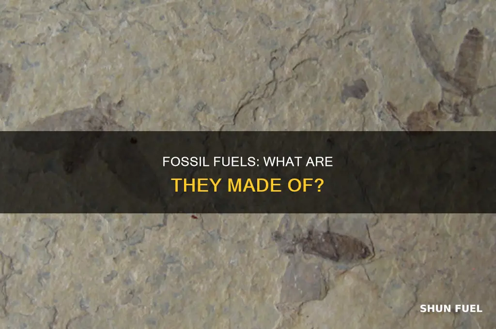 what are fossil fuels mainly composed of