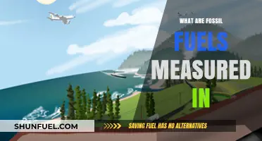 Measuring Fossil Fuels: Units and Standards