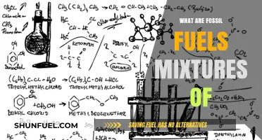 Fossil Fuels: A Complex Blend of Organic Compounds